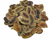 Healthy Aim Senna Pods Herbal Tea 10Kg